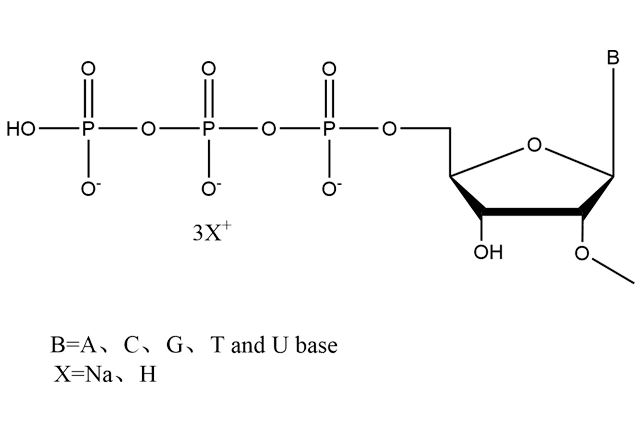 2'-OMe-NTP