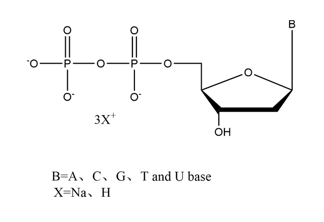 dNDP