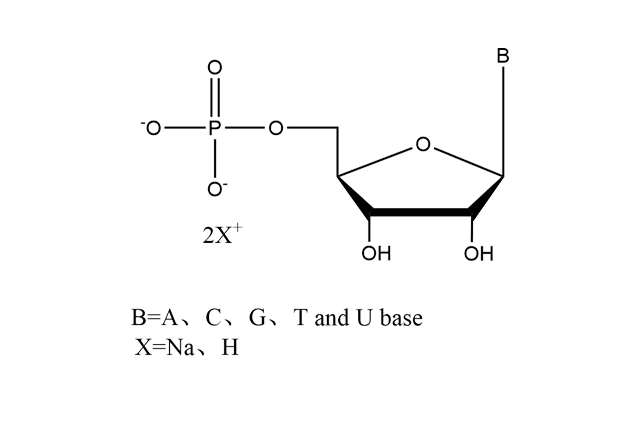 NMP