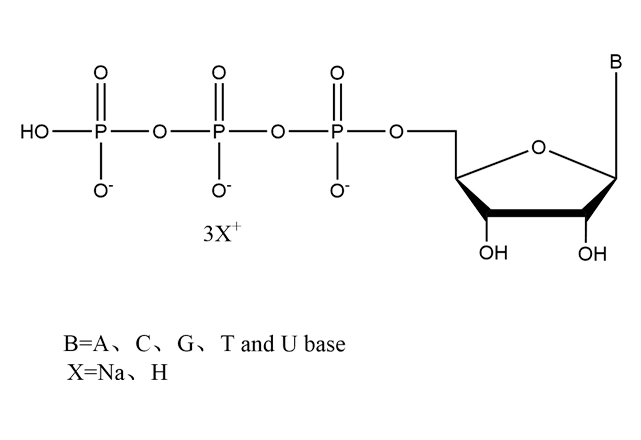 NTP