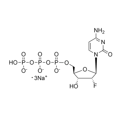2'-F-2'-dCTP·Na3, 100mM Solution