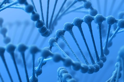The Role of 2'-dA(Bz) Phosphoramidite in the Development of DNA-Based Biosensors