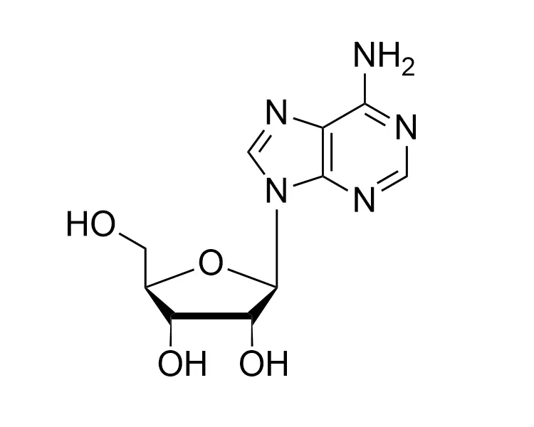 Adenosine