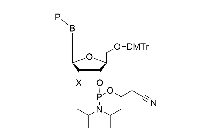 L-Amidites