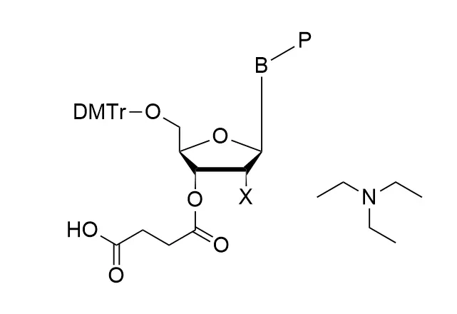 Succinate Monomers
