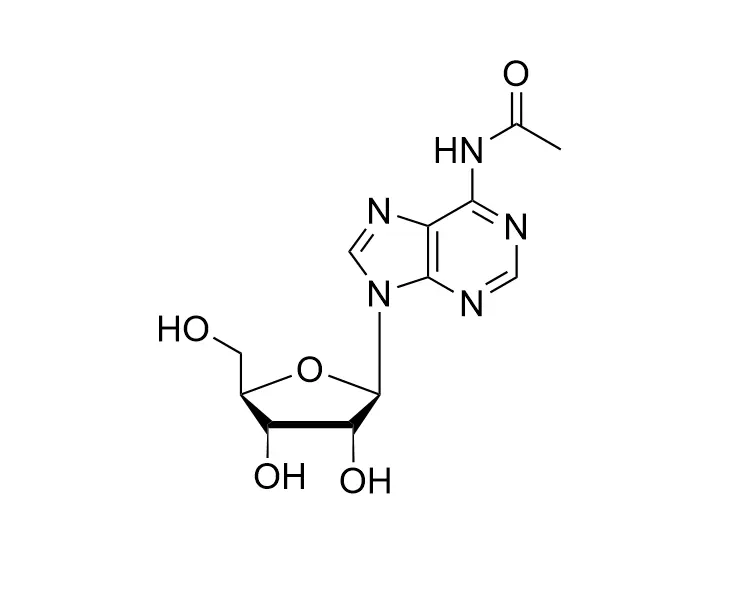N6-Ac-rA