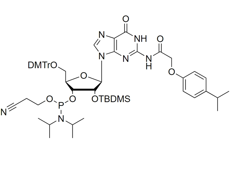 rG(iPr-Pac) Phosphoramidite