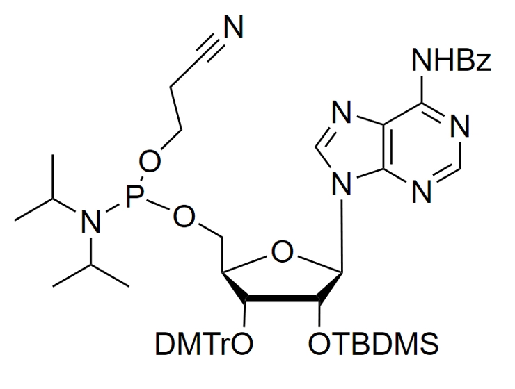 2'-O-TBDMS-A(Bz)-CE reverse phosphoramidite