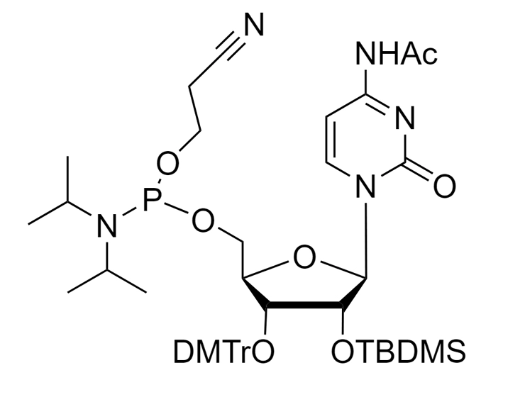 2'-O-TBDMS-C(Ac)-CE reverse phosphoramidite