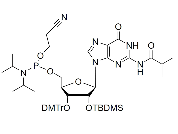 2'-O-TBDMS-G(ibu)-CE reverse phosphoramidite