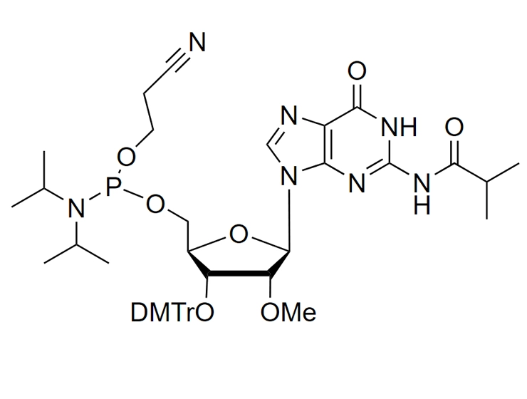 2'-OMe-G(ibu)-CE-Reverse Phosphoramidite