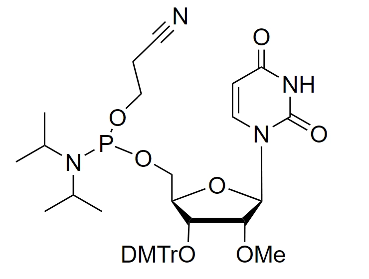 2'-OMe-U-CE-Reverse Phosphoramidite