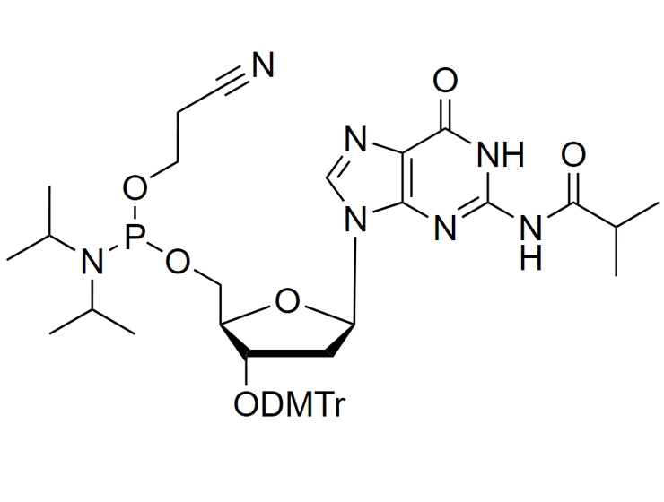 dG(ibu)-CE-Reverse Phosphoramidite