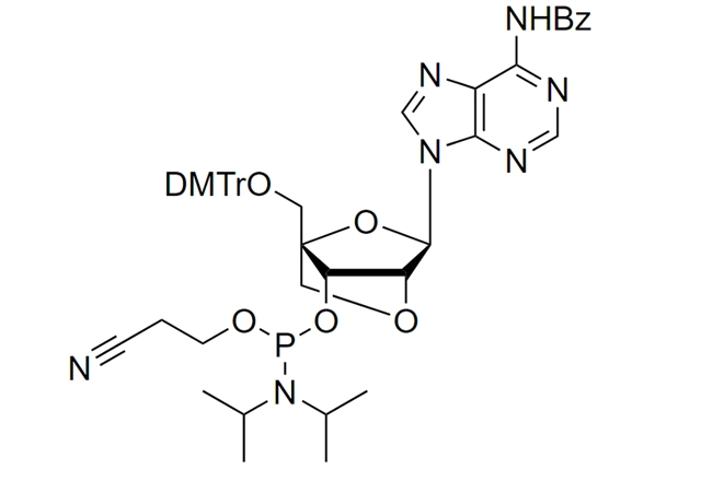 LNA Phosphoramidites