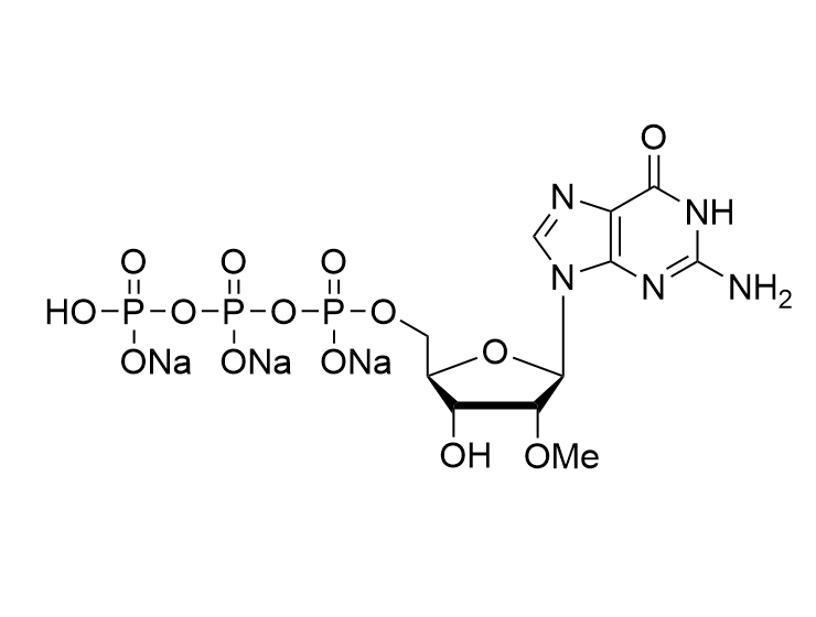 2'-OMe-GTP, 100mM Solution