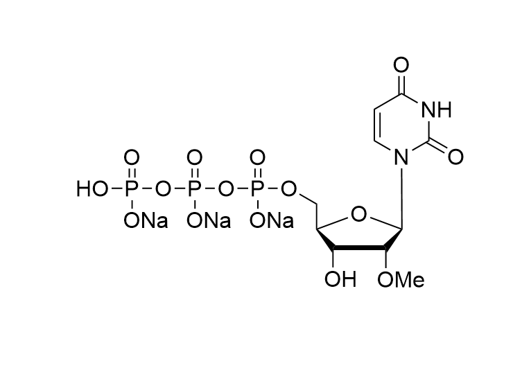 2'-OMe-UTP, 100mM Solution