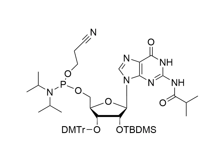 2'-O-TBDMS-G(ibu)-CE reverse phosphoramidite