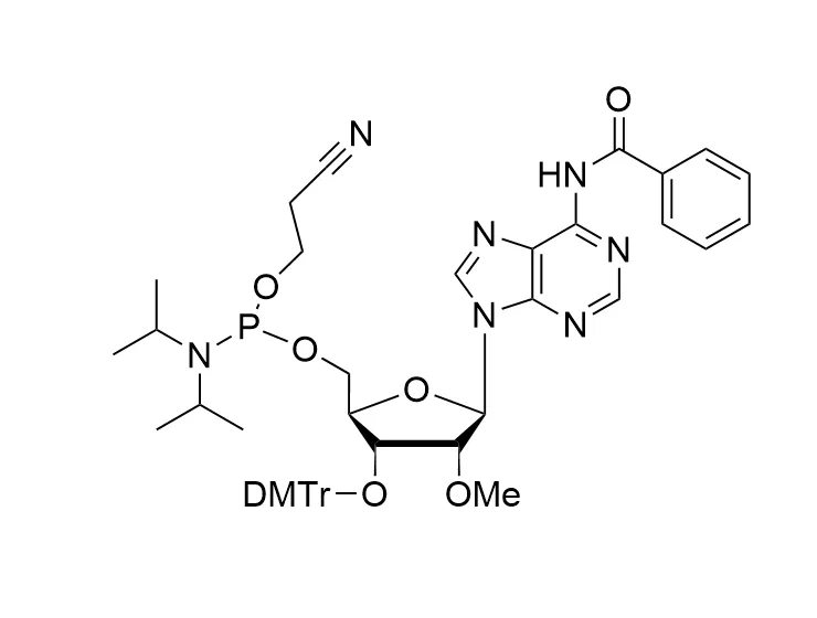 2'-OMe-A(Bz)-CE-Reverse Phosphoramidite