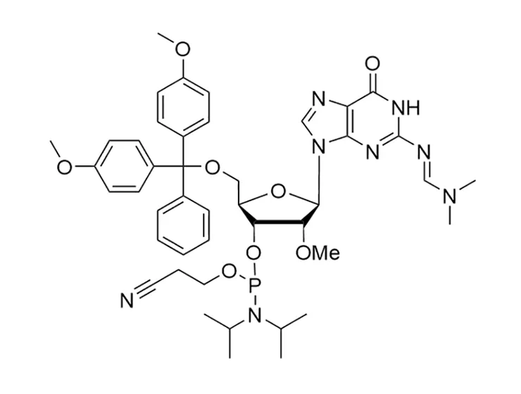 2'-OMe-rG(dmf) Phosphoramidite
