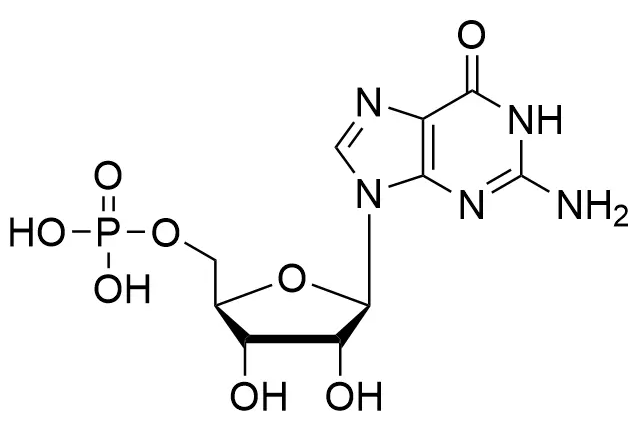 gmp-guanosine-monophosphate-free-acid-cas-no-85-32-5.png