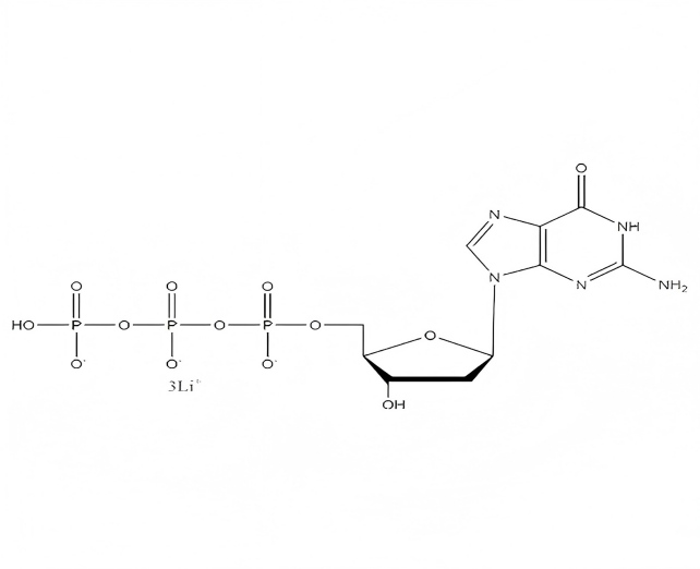 Deoxynucleoside Triphosphate Uses in PCR, Sequencing, and Molecular Biology Applications