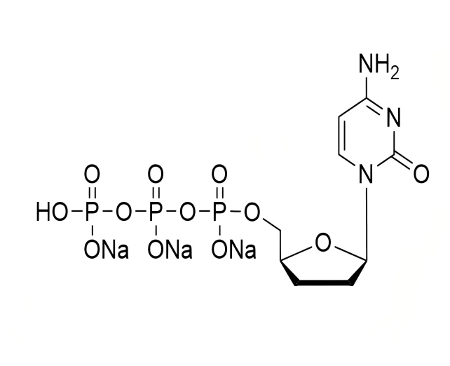 dideoxynucleoside triphosphates dideoxynucleoside triphosphates